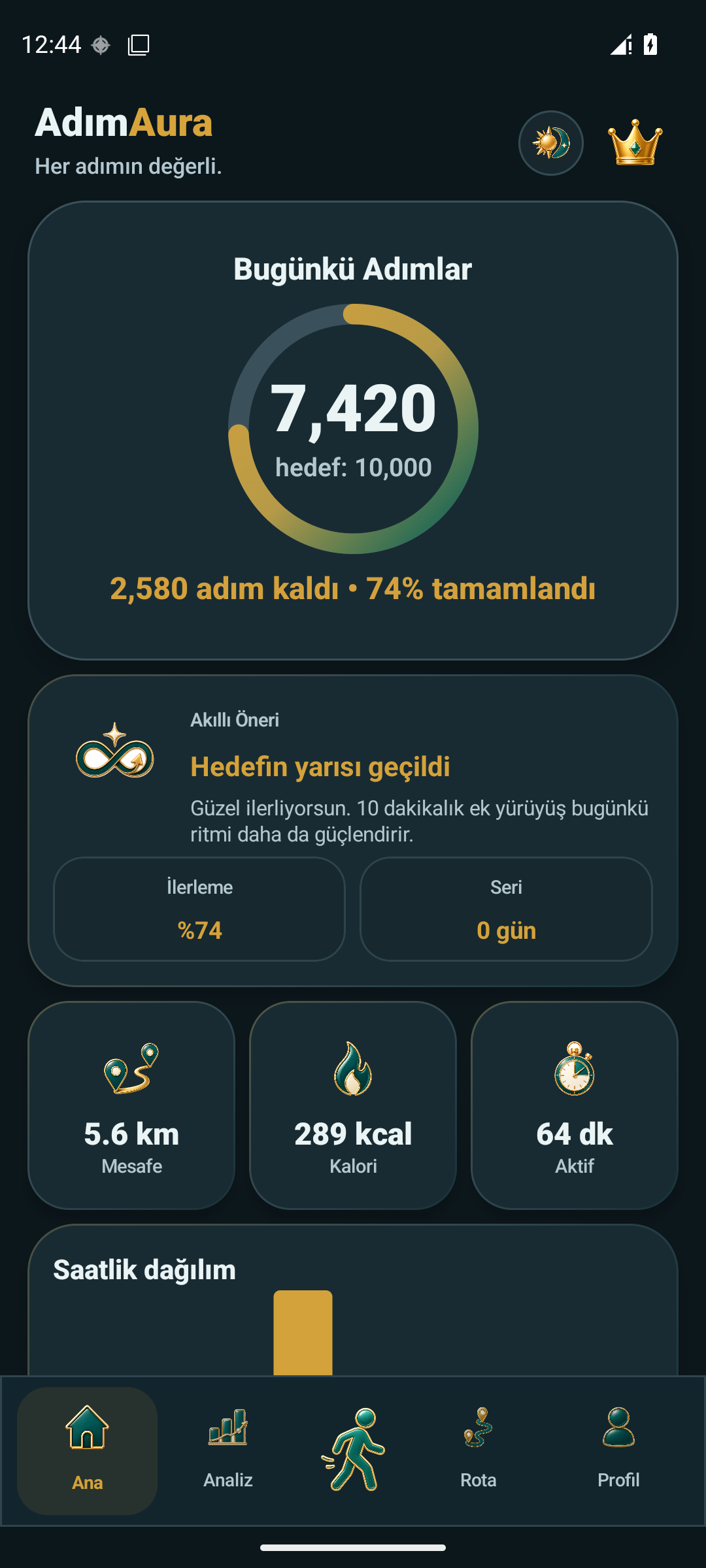 AdımAura daily activity dashboard